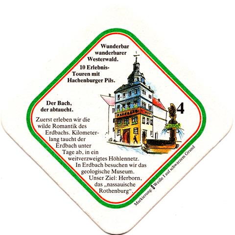 hachenburg ww-rp hachenburger wandern 5b (raute185-4 der bach der)